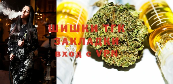 шишки Алзамай
