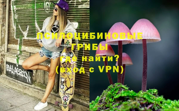 эйфоретик Богданович